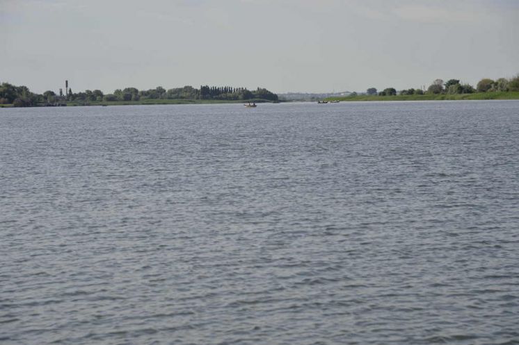 В 2023 году Ростовская АЭС выпустит в бассейн реки Дон миллион рыб-мелиораторов